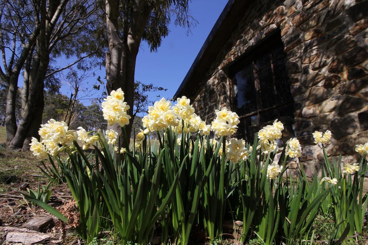 The Great House Bnb Buckland Exterior foto